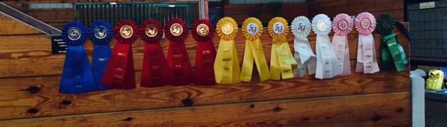Mary Baldwin’s Equestrian Team Impresses at Intercollegiate Competition