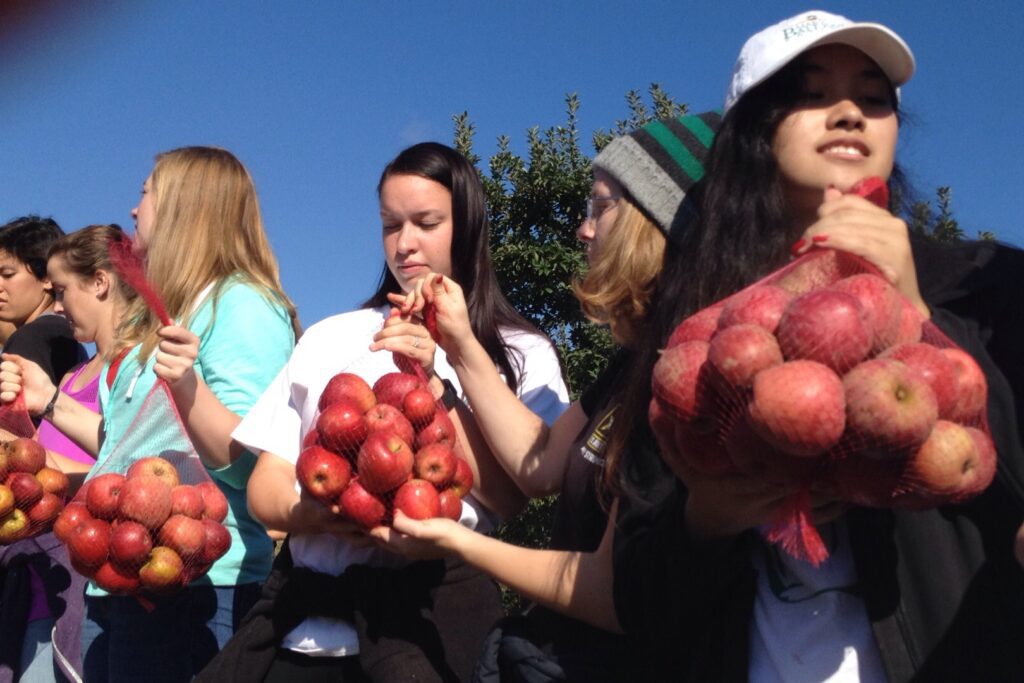 Alumni Share in Apple Day 2016 Spirit