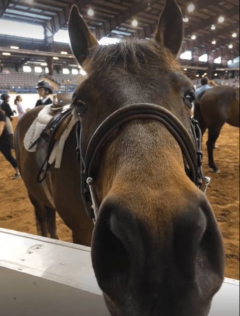 Reaching out to Riding Recruits