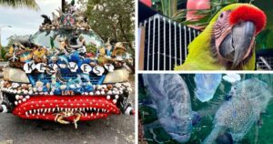 Key West sights