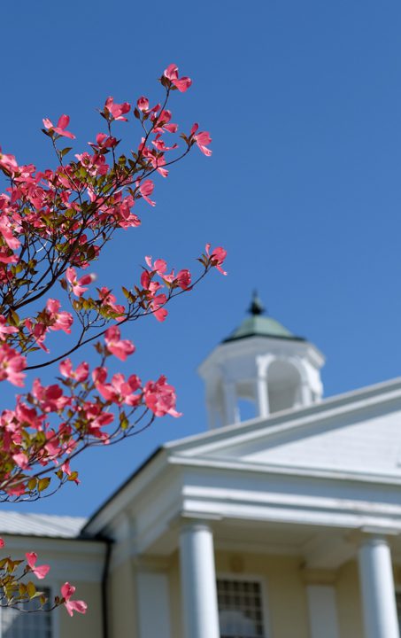 New College of Business and Professional Studies to Launch in 16-17