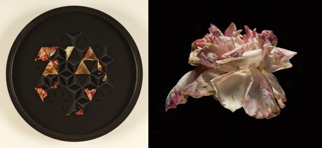 Art Professor’s Work Chosen for Statewide Exhibitions