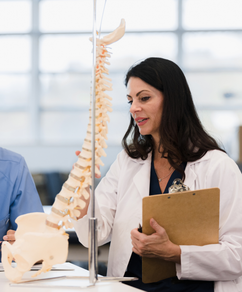 Using a model of the human spine, the mid adult female professor helps the students understand their assignment.