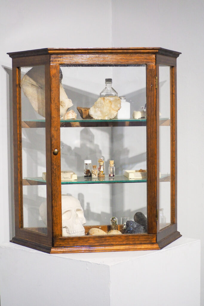 A clear case with crystals and a skull inside